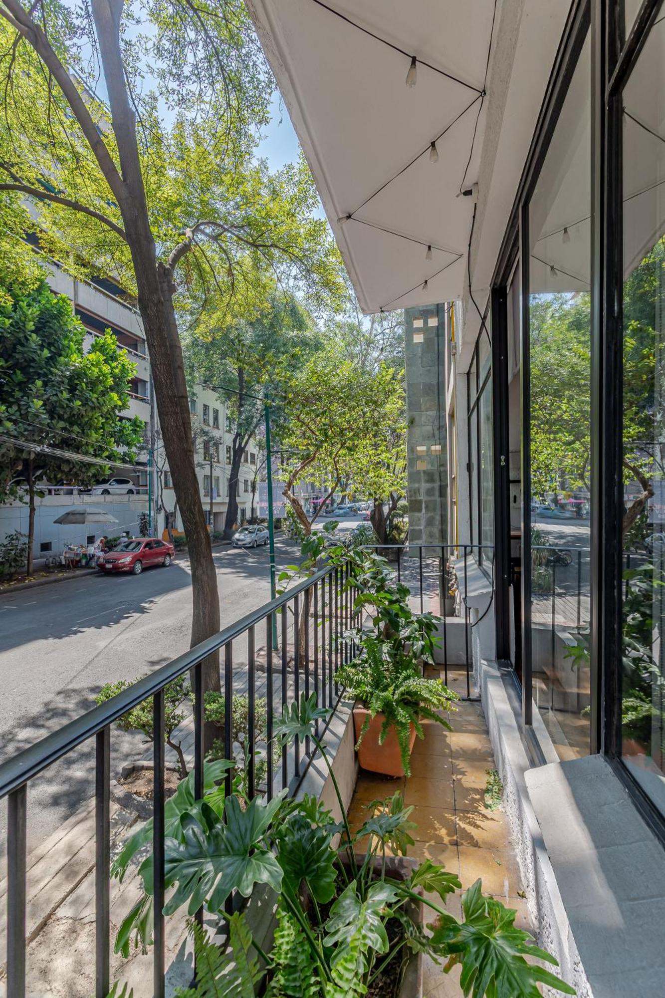 Amalli, Refugio Urbano Mexico City Ngoại thất bức ảnh
